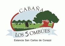 CABAÑA LOS 5 OMBUES